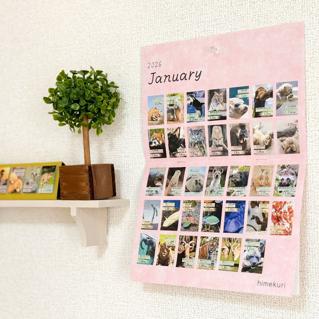 himekuri 2026 Mini Wall Calendar Mount Sheet / himekuri