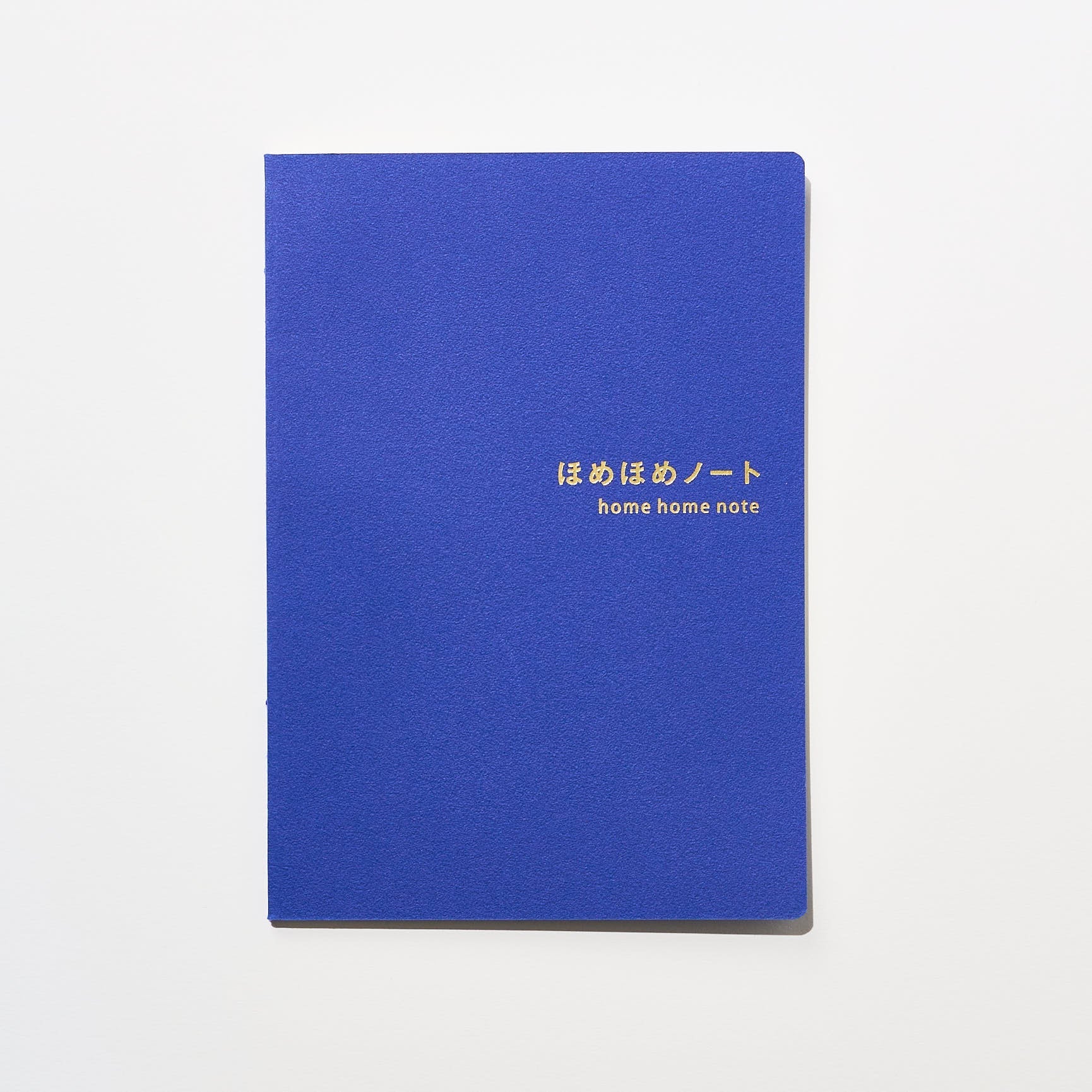 Everyday Praise Journaling Set: Blue