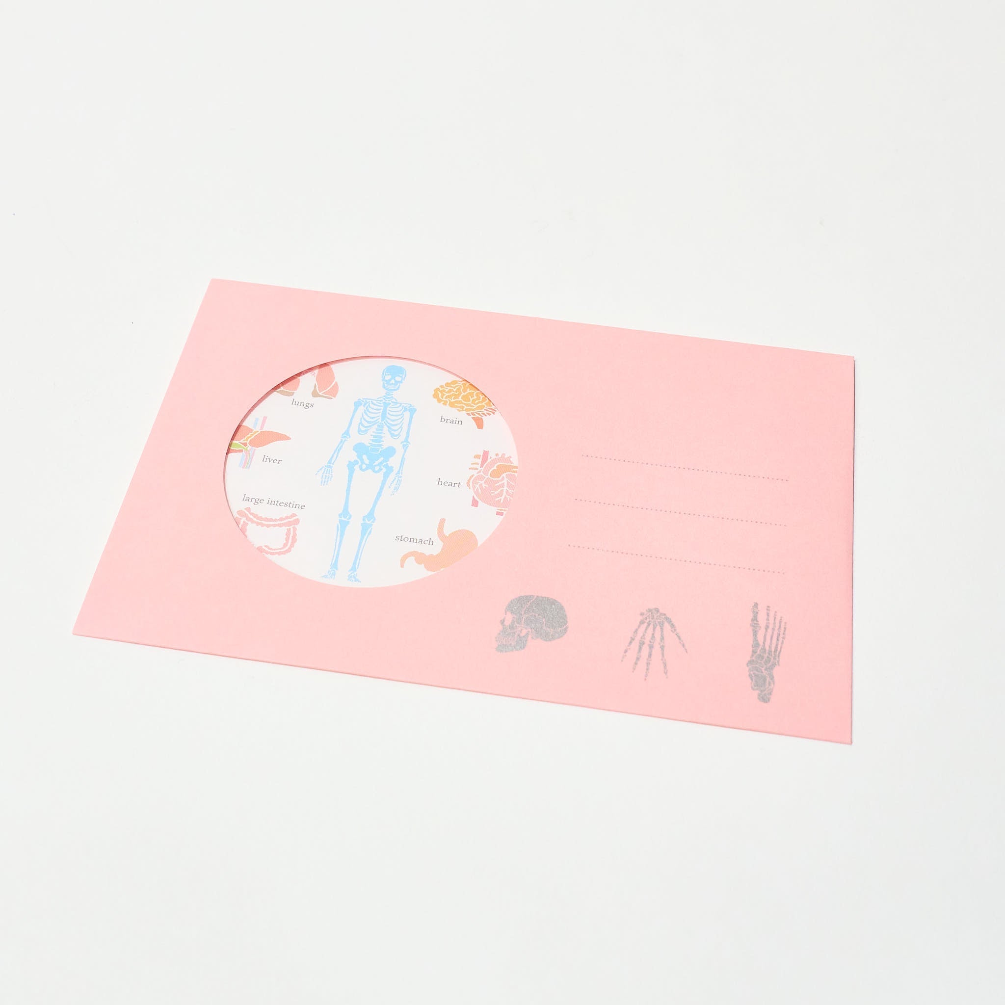 STUDY HOLIC Letter Set / GreenFlash