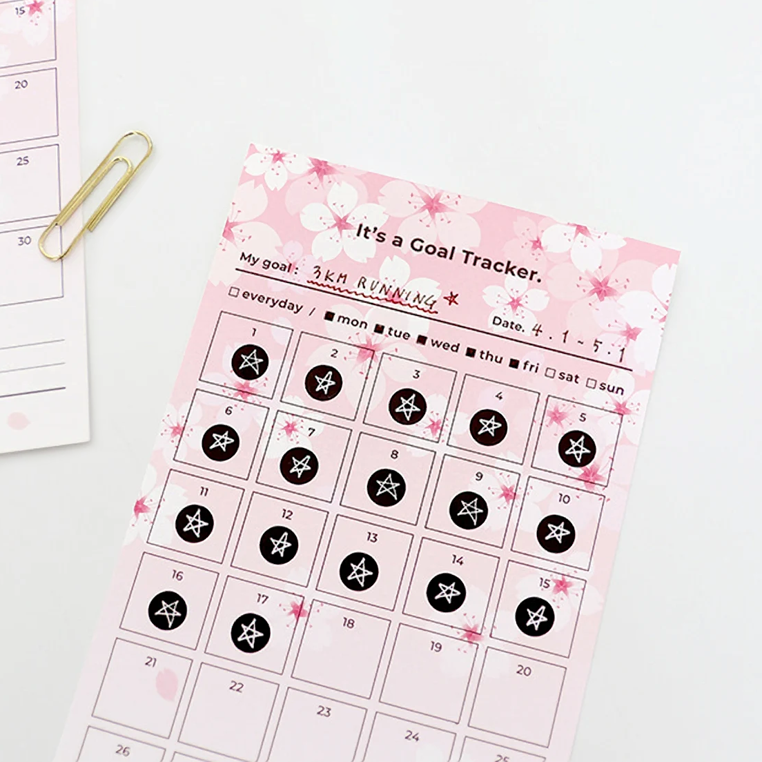 Paperian Cherry Blossom 30 Days Goal Tracker - 12 Sheets