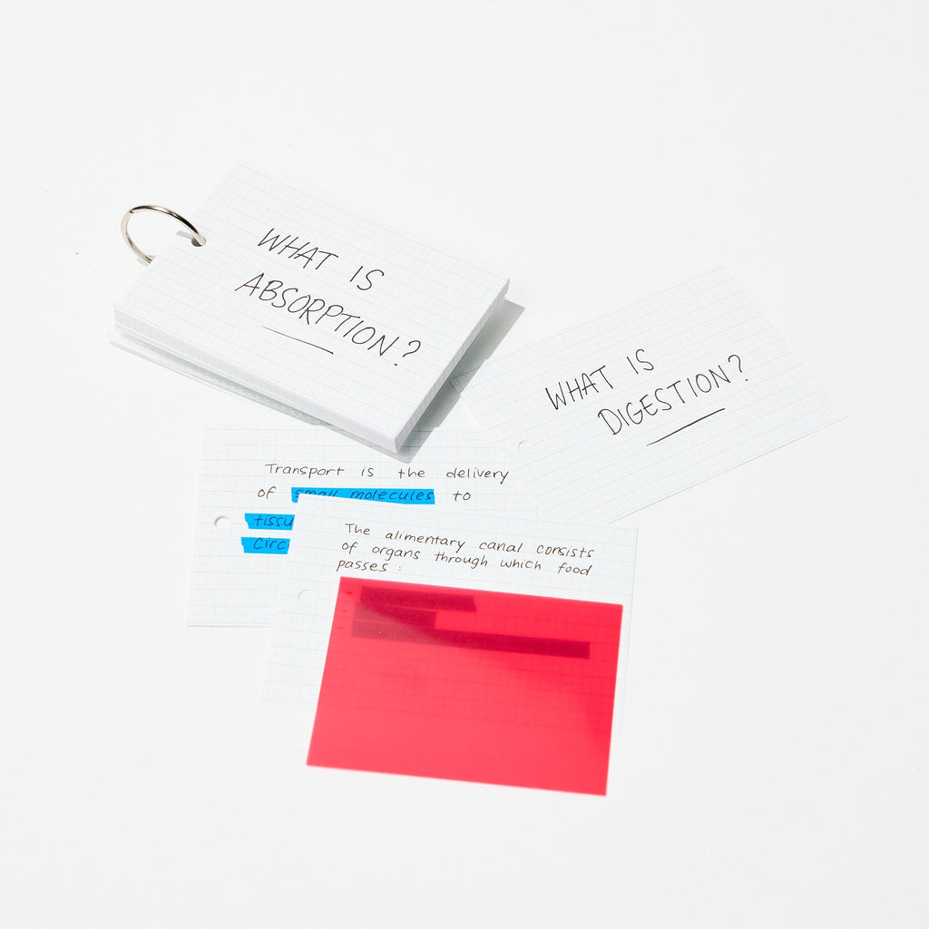 Kept STUDYCA Mini Study Card / Raymay Fujii