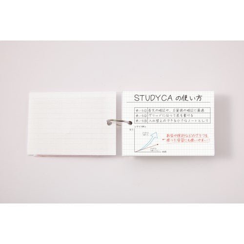 Kept STUDYCA Mini Study Card / Raymay Fujii