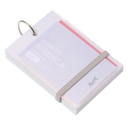 Kept STUDYCA Mini Study Card / Raymay Fujii