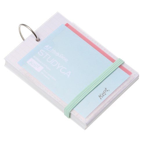 Kept STUDYCA Mini Study Card / Raymay Fujii