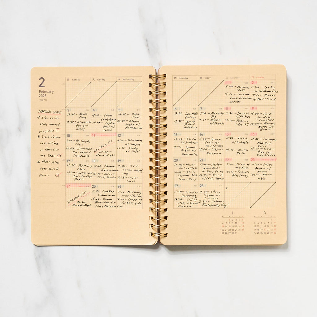 Kraft Work Diary 2025 / kleid