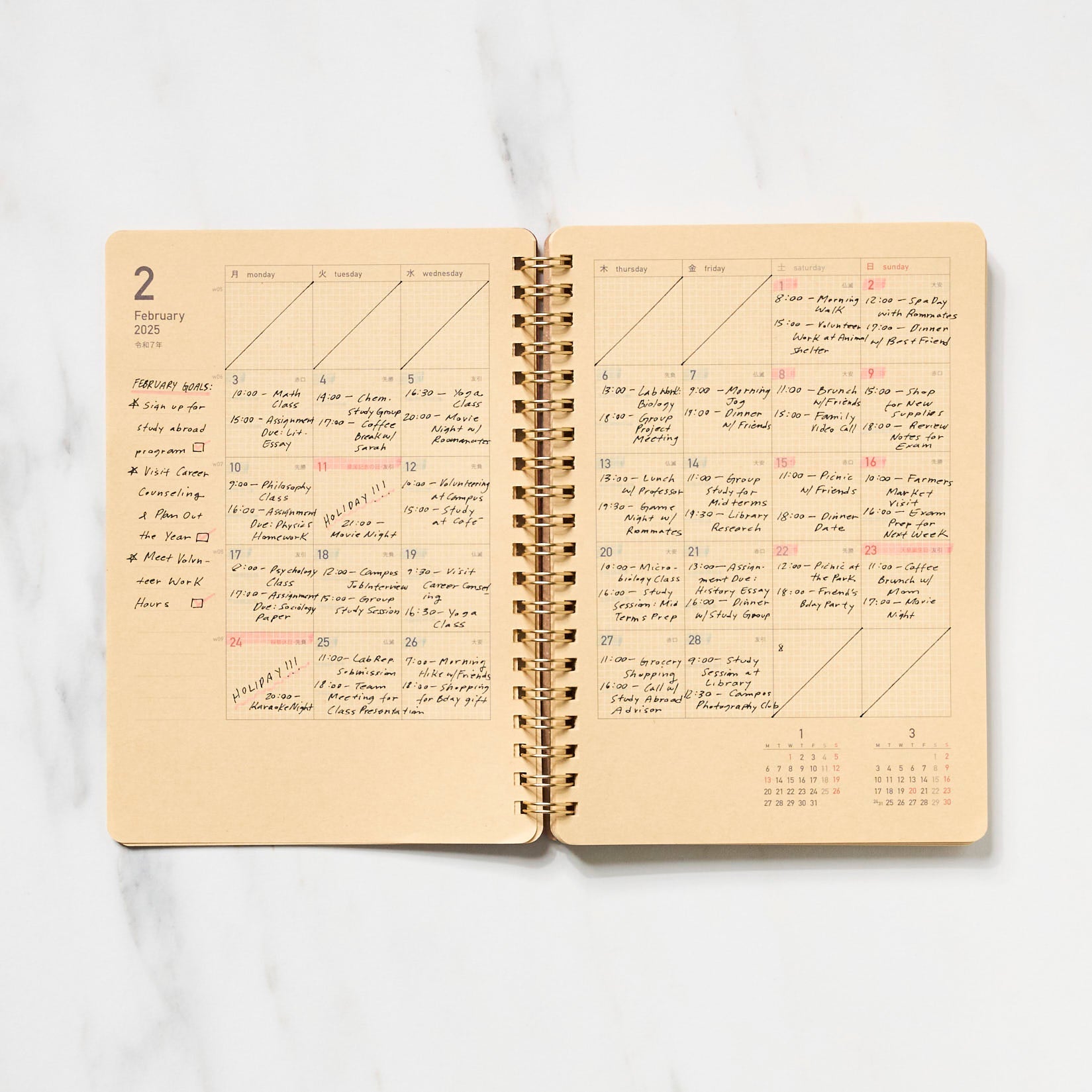 Kraft Work Diary 2025 / kleid