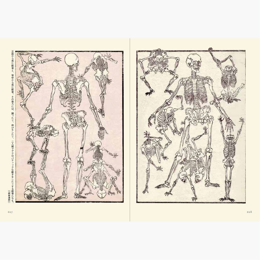 Kyosai Ehon Kyosai Picture Book / Seigensha