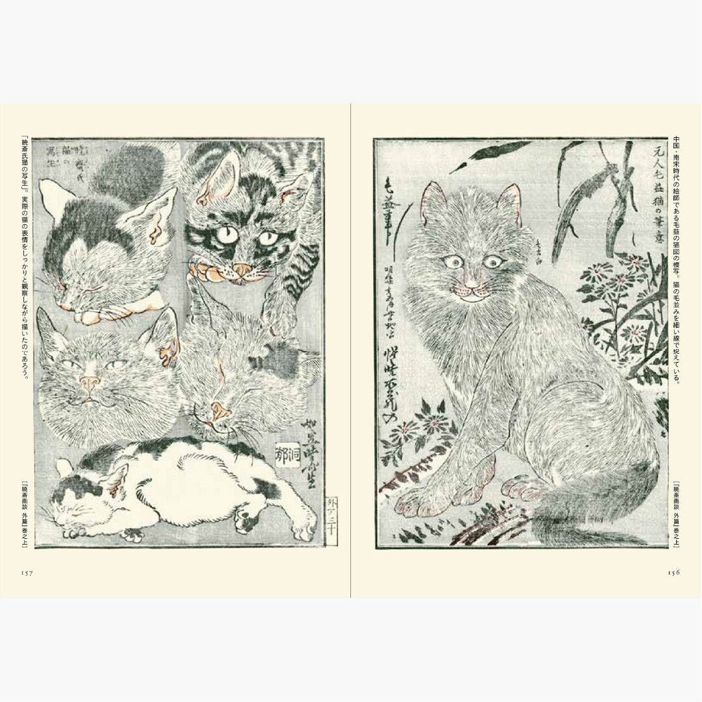 Kyosai Ehon Kyosai Picture Book / Seigensha