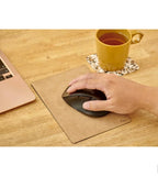 Leather Desk Mat / Teriw
