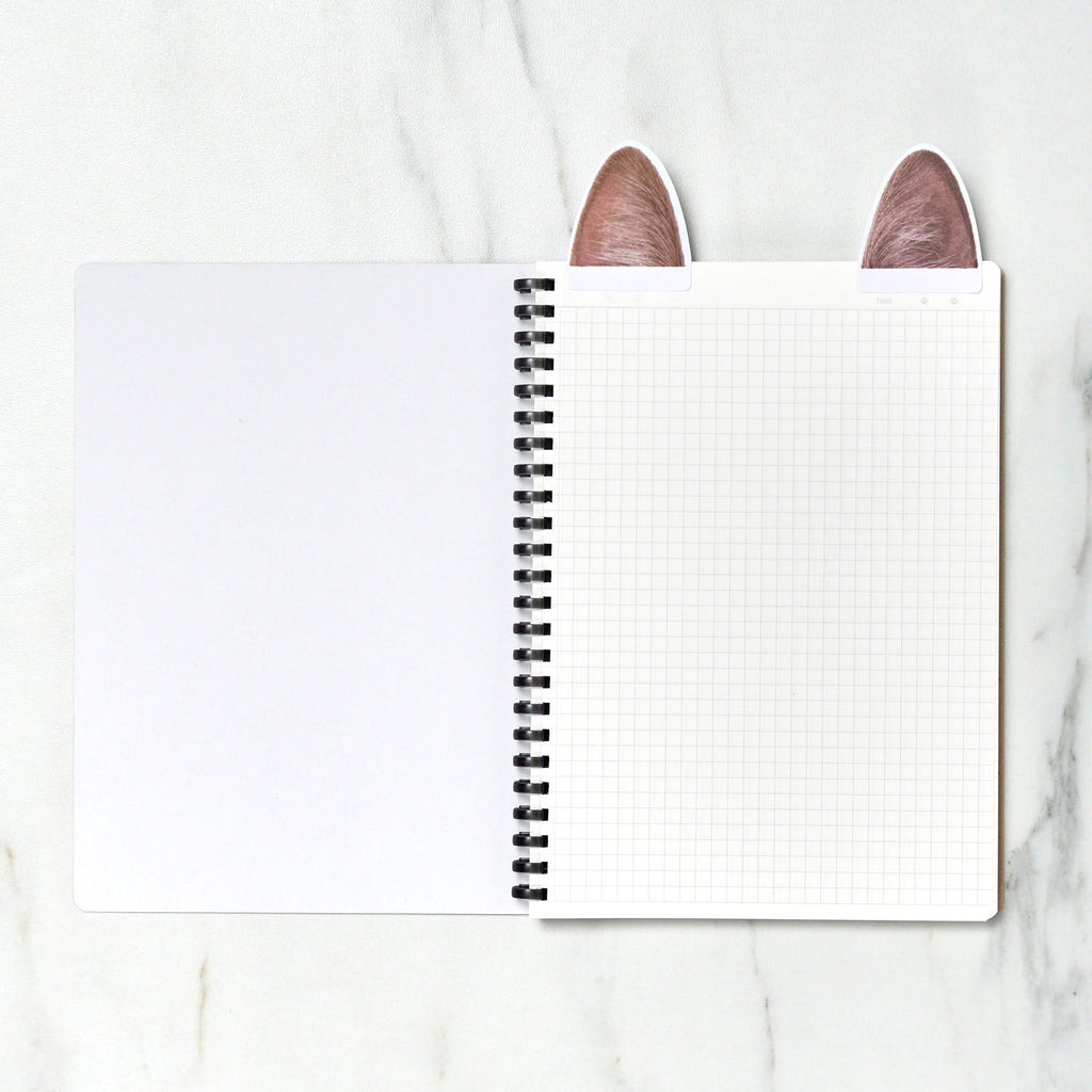 [Limited] Campus Paw Soft Ring Notebook / KOKUYO