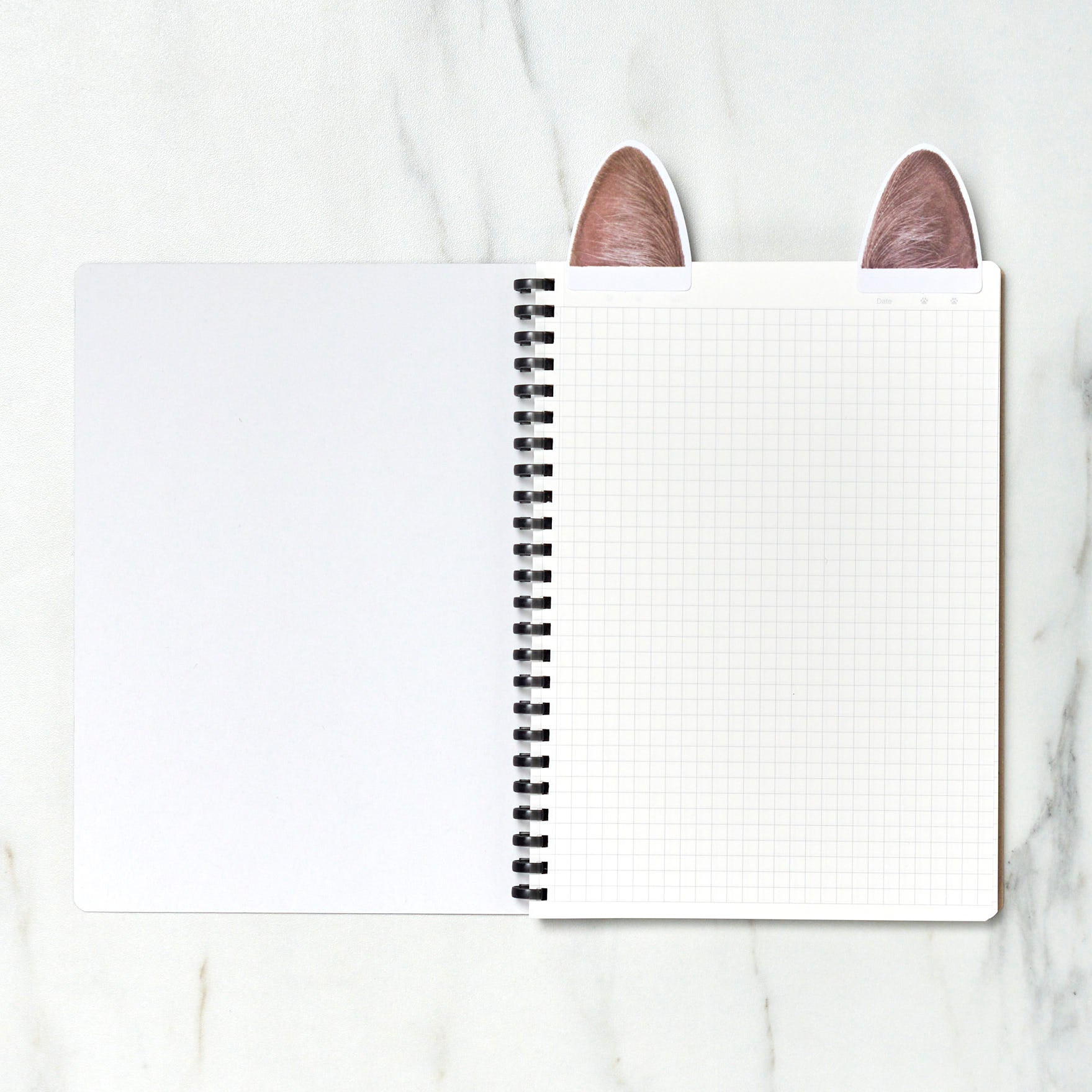 [Limited] Campus Paw Soft Ring Notebook / KOKUYO