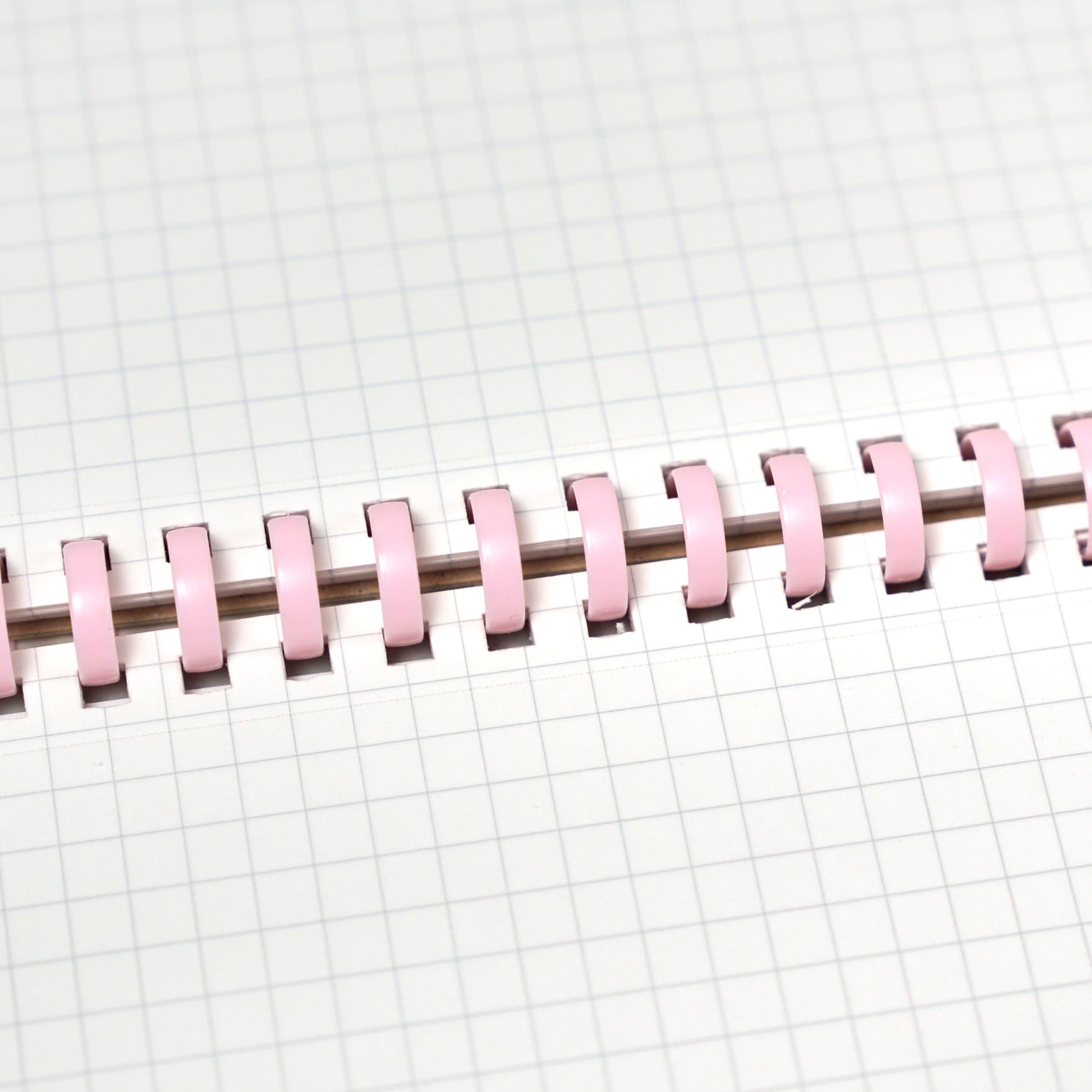 [Limited] Campus Paw Soft Ring Notebook / KOKUYO