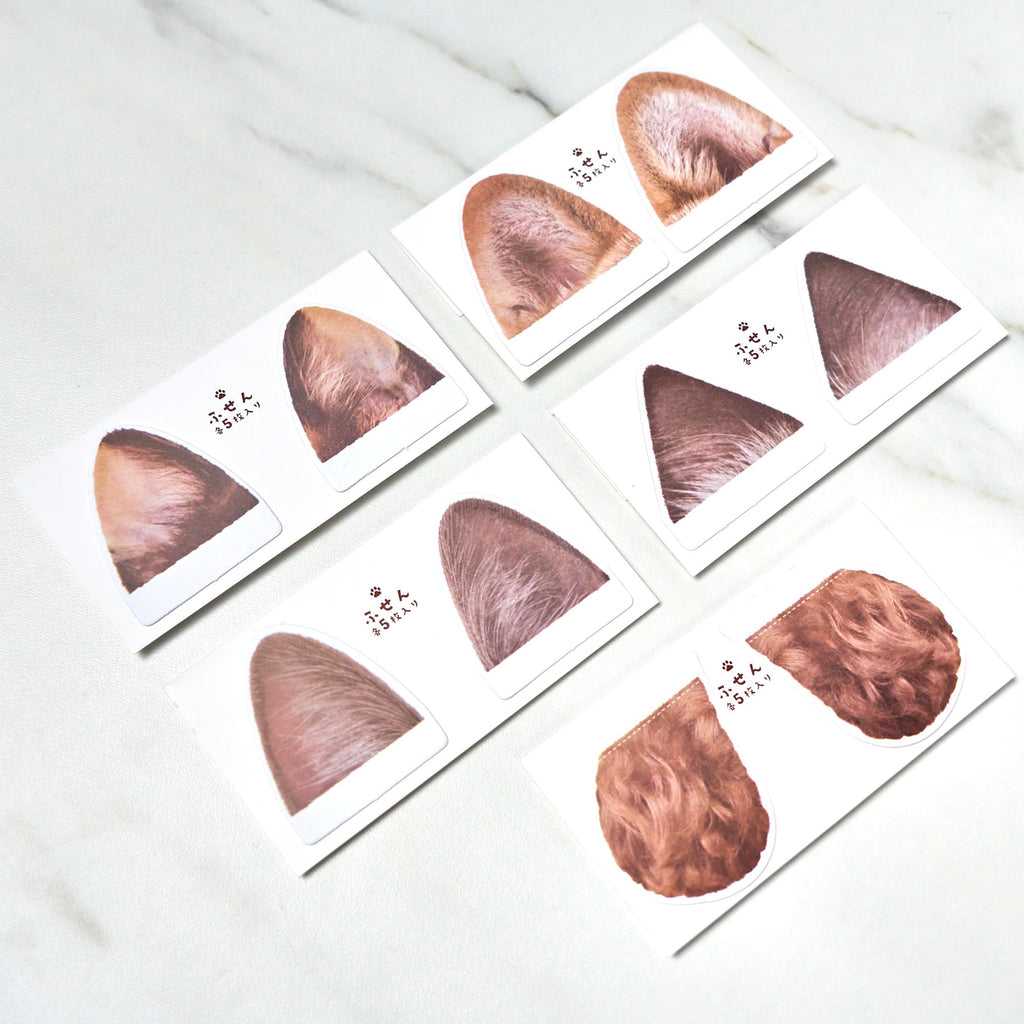 [Limited] Campus Paw Soft Ring Notebook / KOKUYO