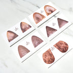[Limited] Campus Paw Soft Ring Notebook / KOKUYO