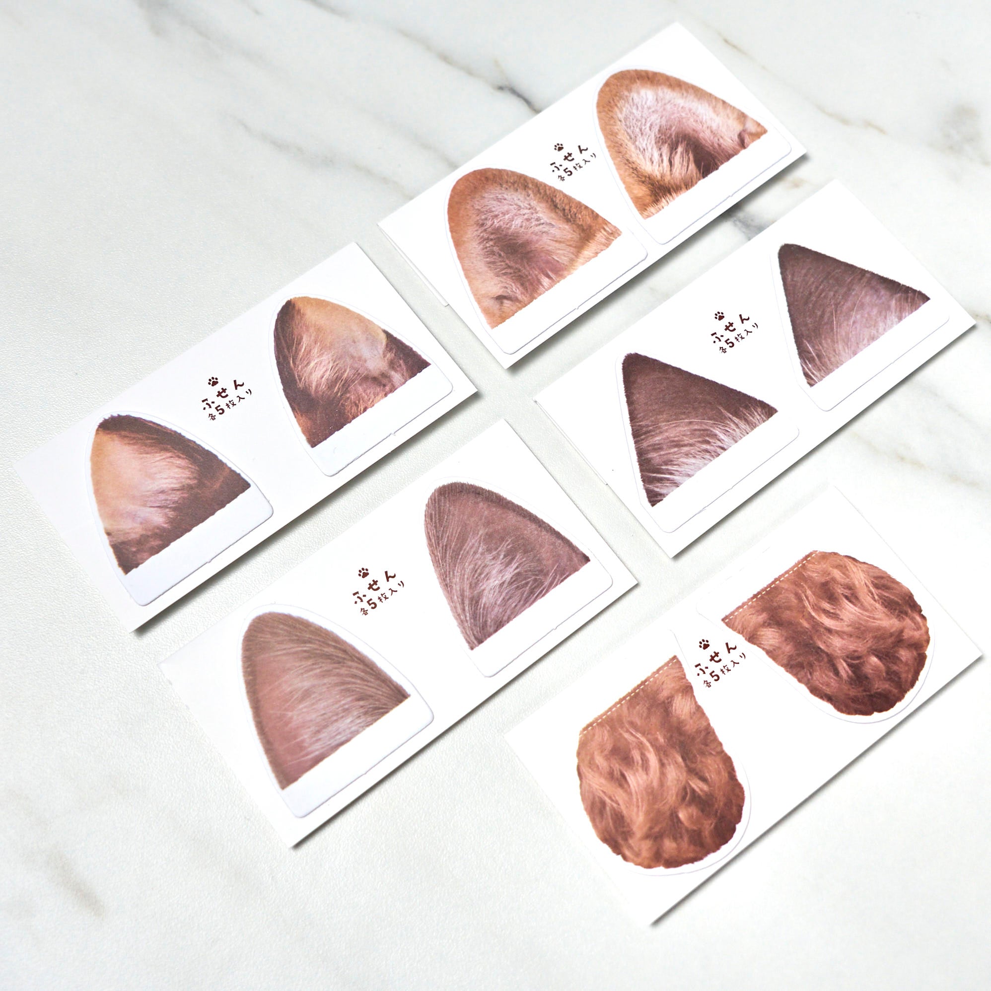 [Limited] Campus Paw Soft Ring Notebook / KOKUYO