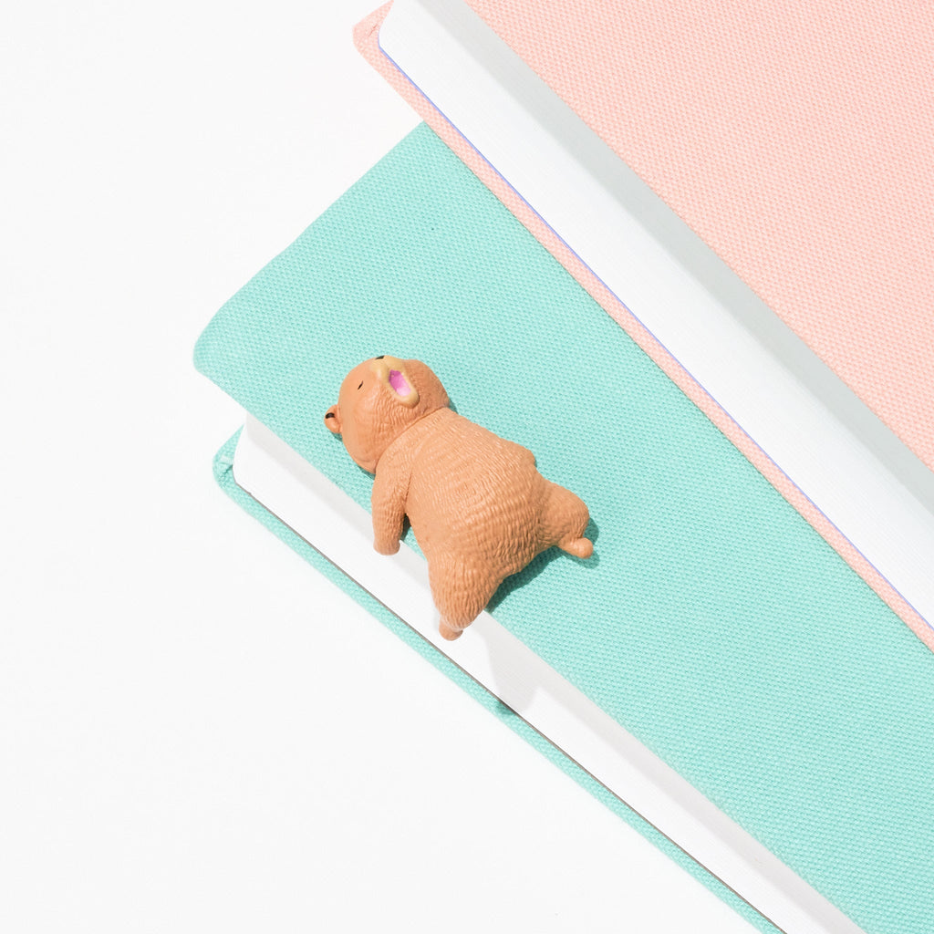 Little Bear Resting on the Edge Gacha Capsule