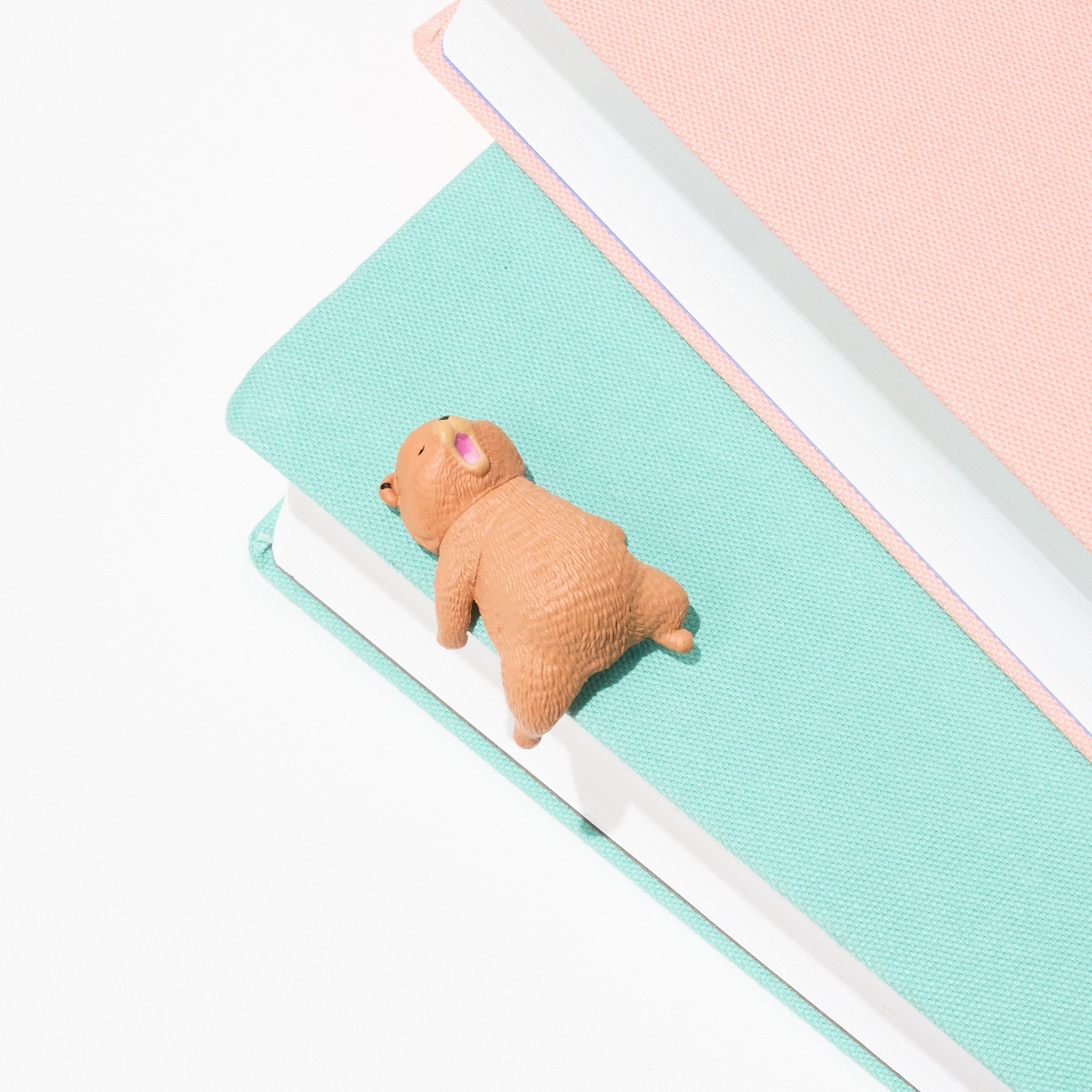 Little Bear Resting on the Edge Gacha Capsule