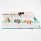 Little Bear Resting on the Edge Gacha Capsule