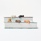 Little Bear Resting on the Edge Gacha Capsule