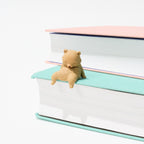 Little Bear Resting on the Edge Gacha Capsule