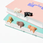 Little Bear Resting on the Edge Gacha Capsule