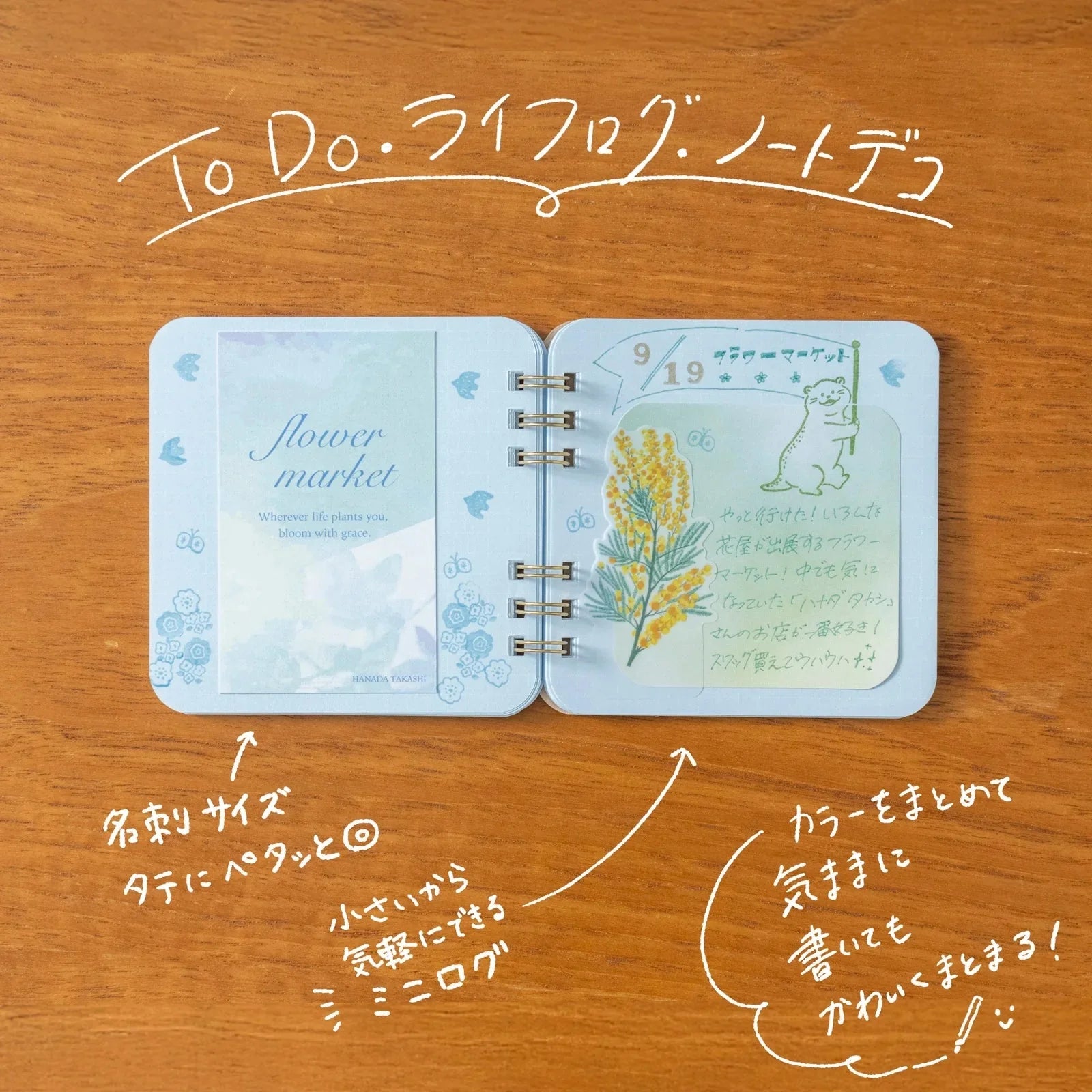 Marumi's Ring Notebook / BEVERLY