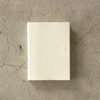 MD Notebook Diary 1 Day 1 Page 2026 / MIDORI