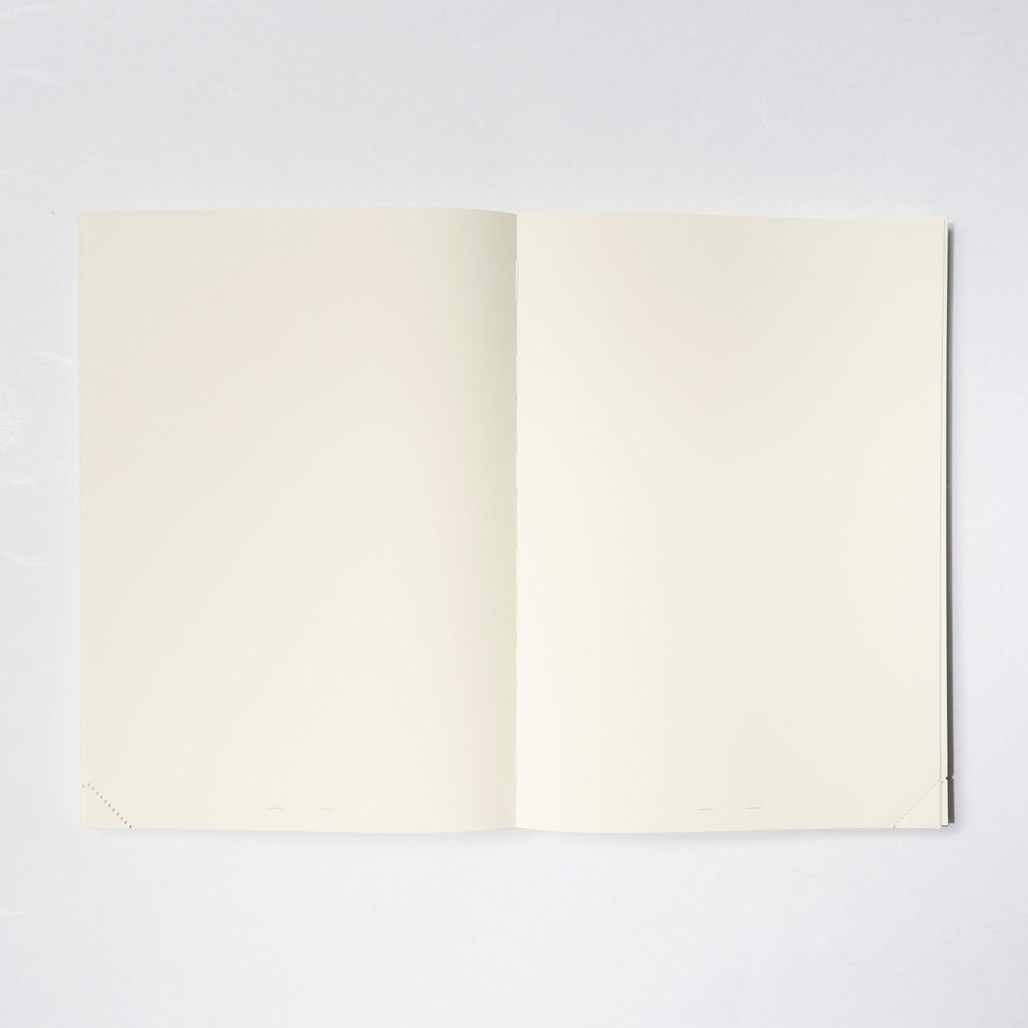 MD Notebook Journal A5 1 Day 1 Page / MIDORI