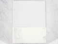 Midori MD Paper A4 Notebook Clear Cover