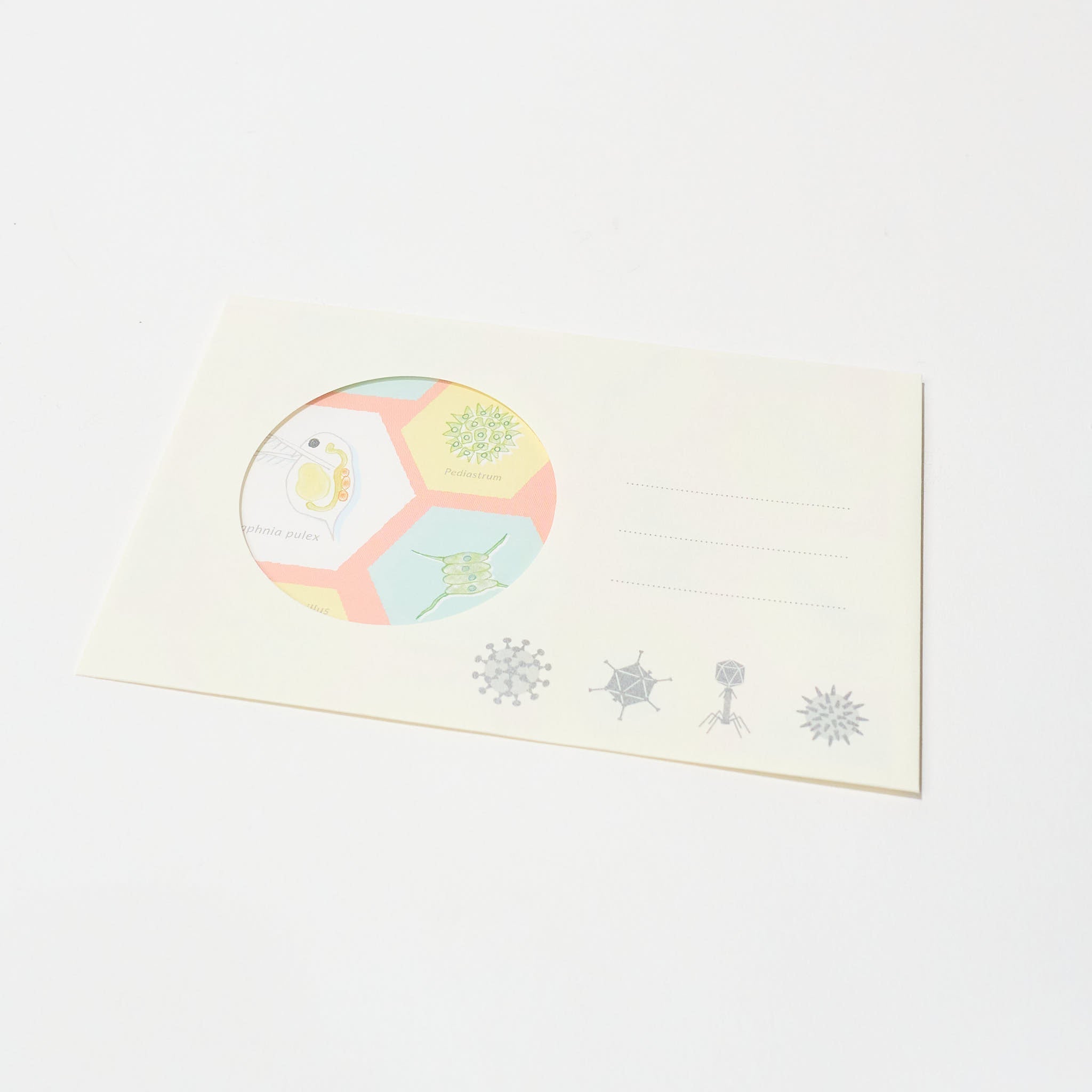 STUDY HOLIC Letter Set / GreenFlash