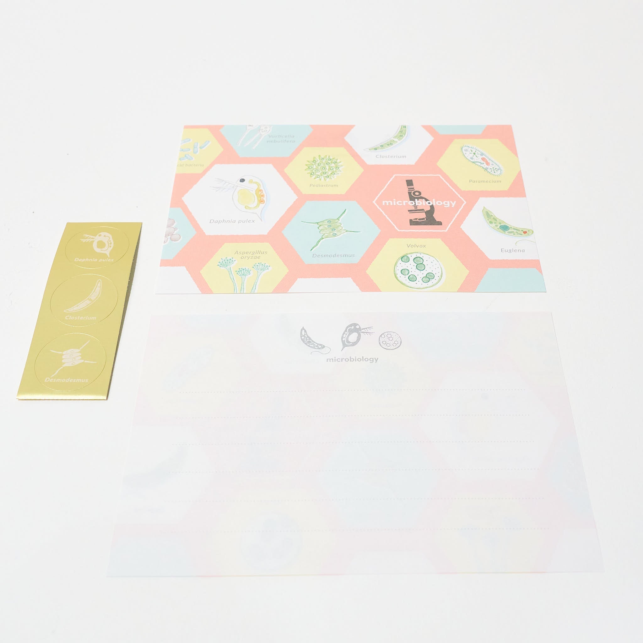 STUDY HOLIC Letter Set / GreenFlash