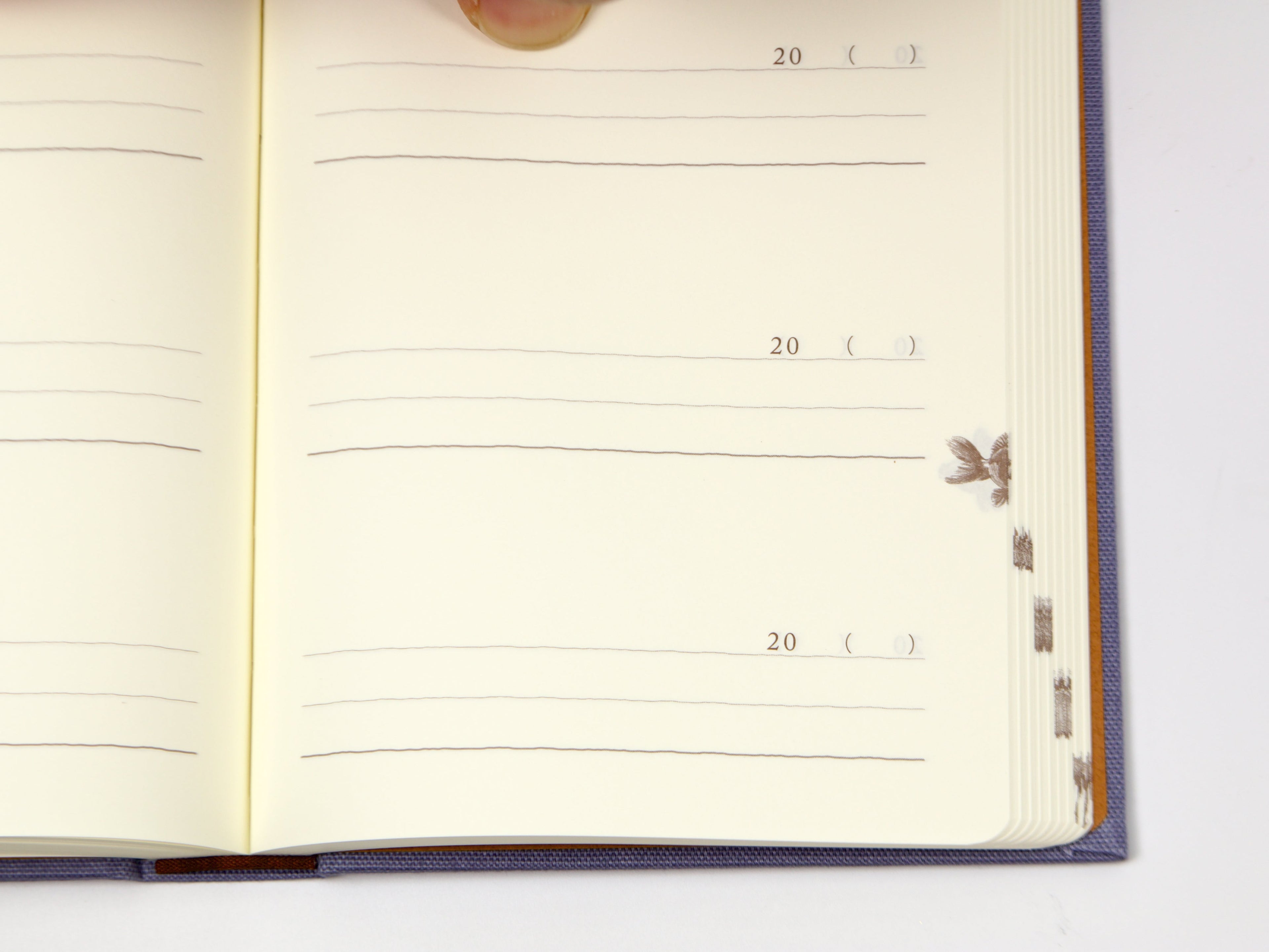 Midori 3 Year Diary