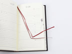 Midori 5 Year Diary