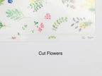 Midori Clear Folder A5
