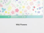 Midori Clear Folder A5