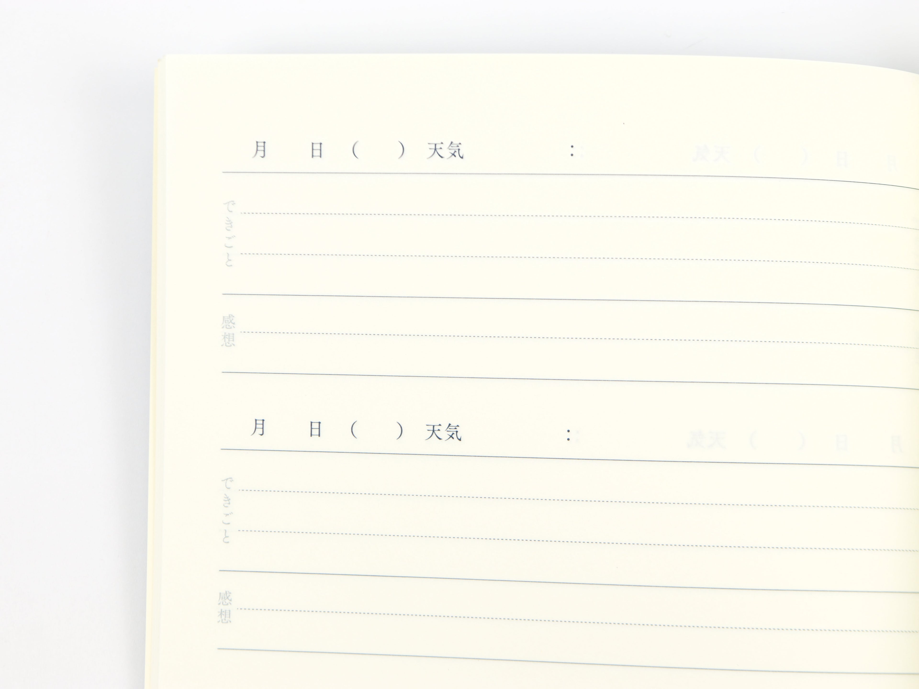 Midori Flexible Diary