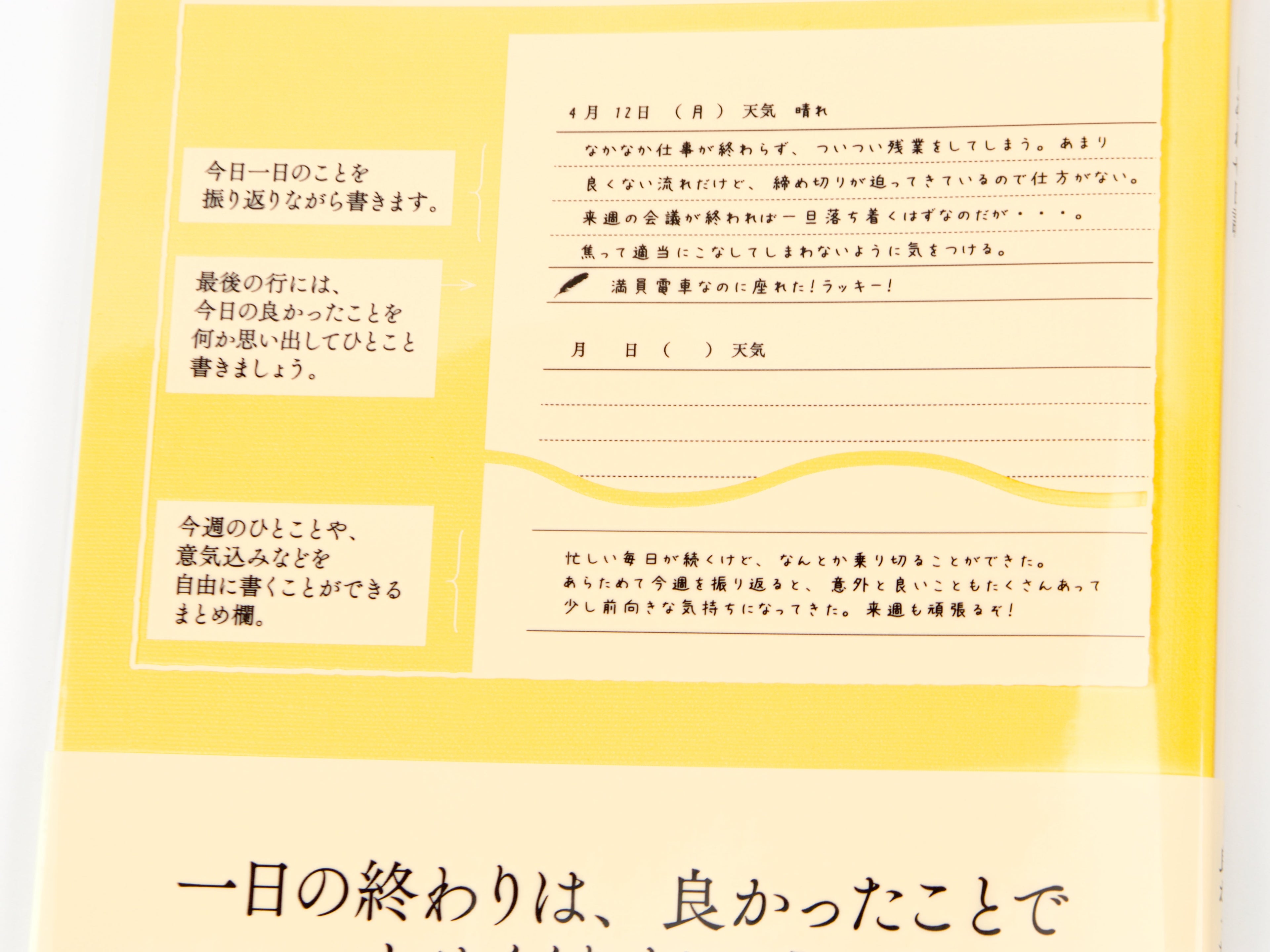 Midori Flexible Diary