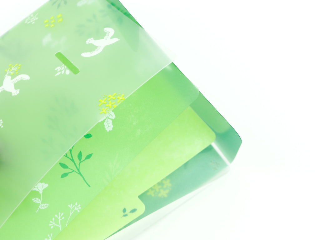 Midori Clear Folder A5 Slim