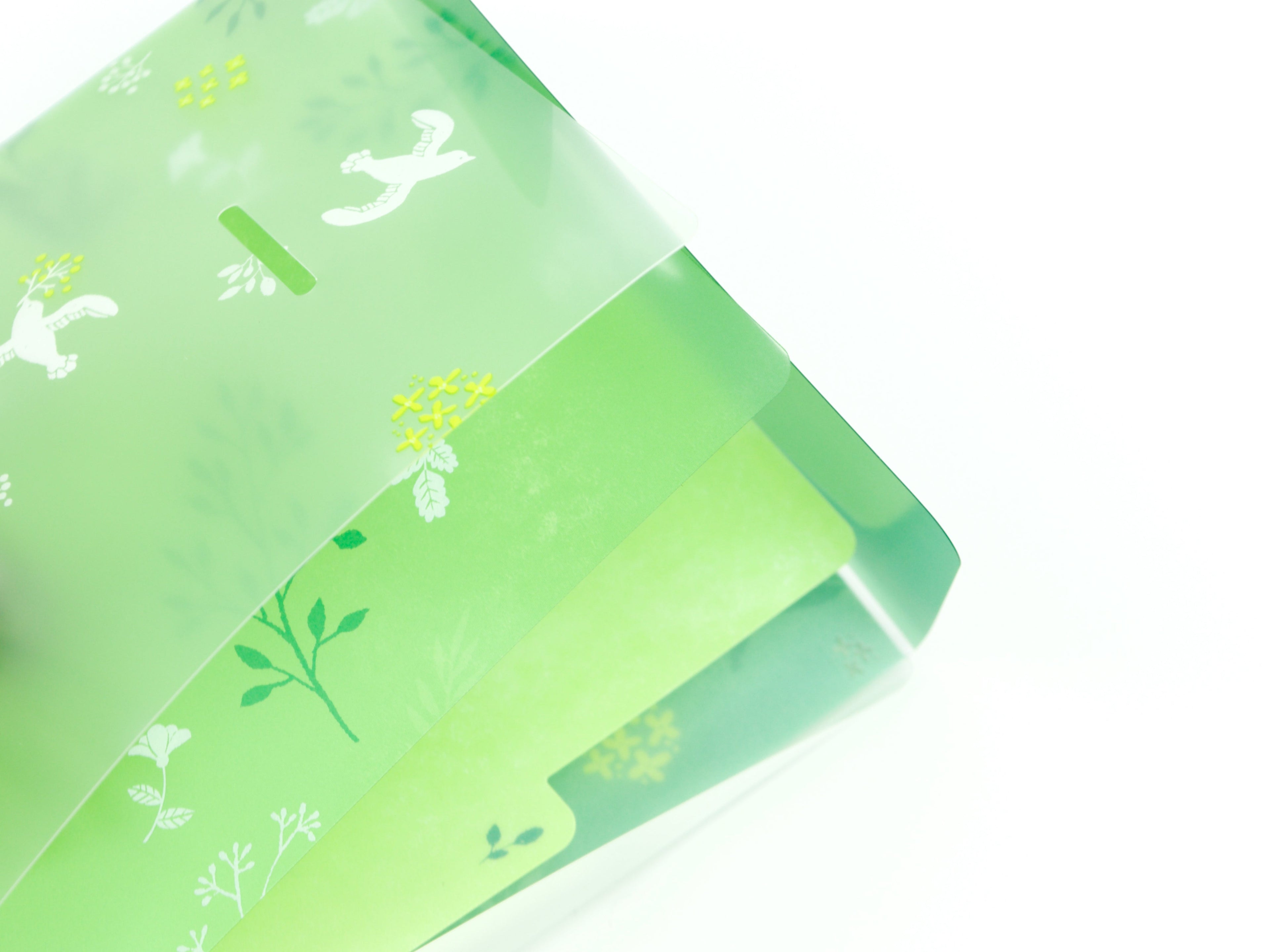 Midori Clear Folder A5 Slim