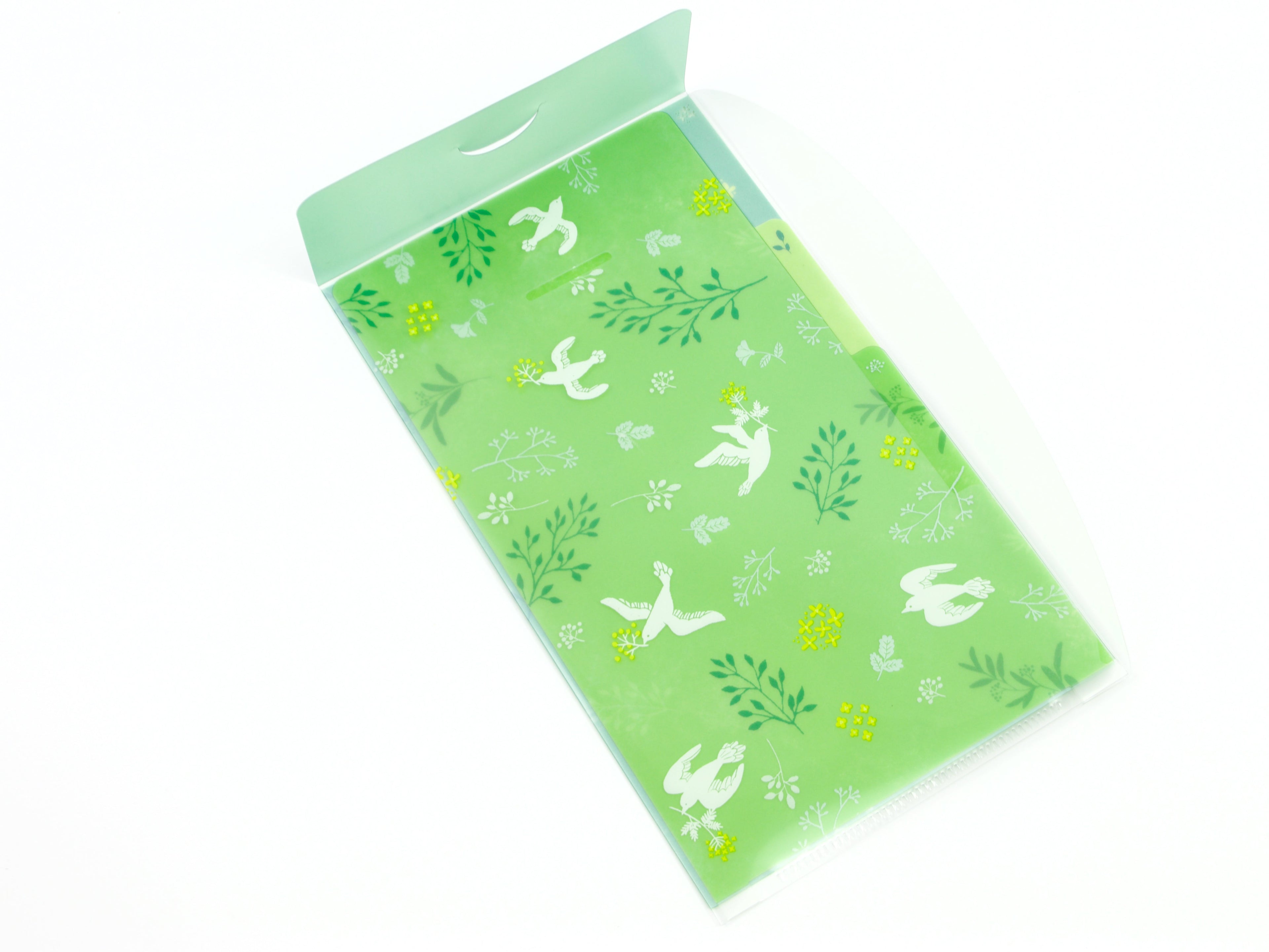 Midori Clear Folder A5 Slim