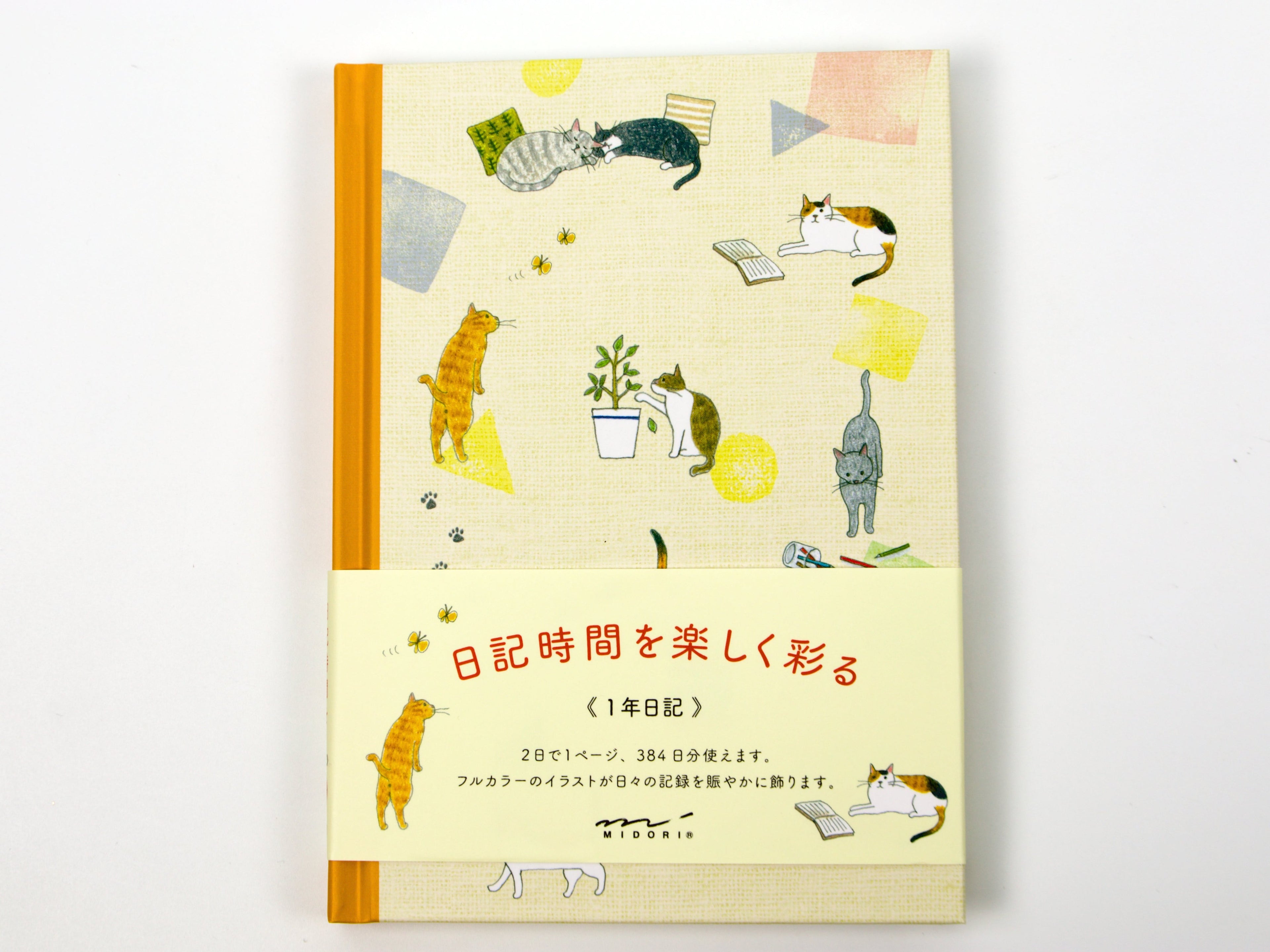 Midori 1 Year Diary