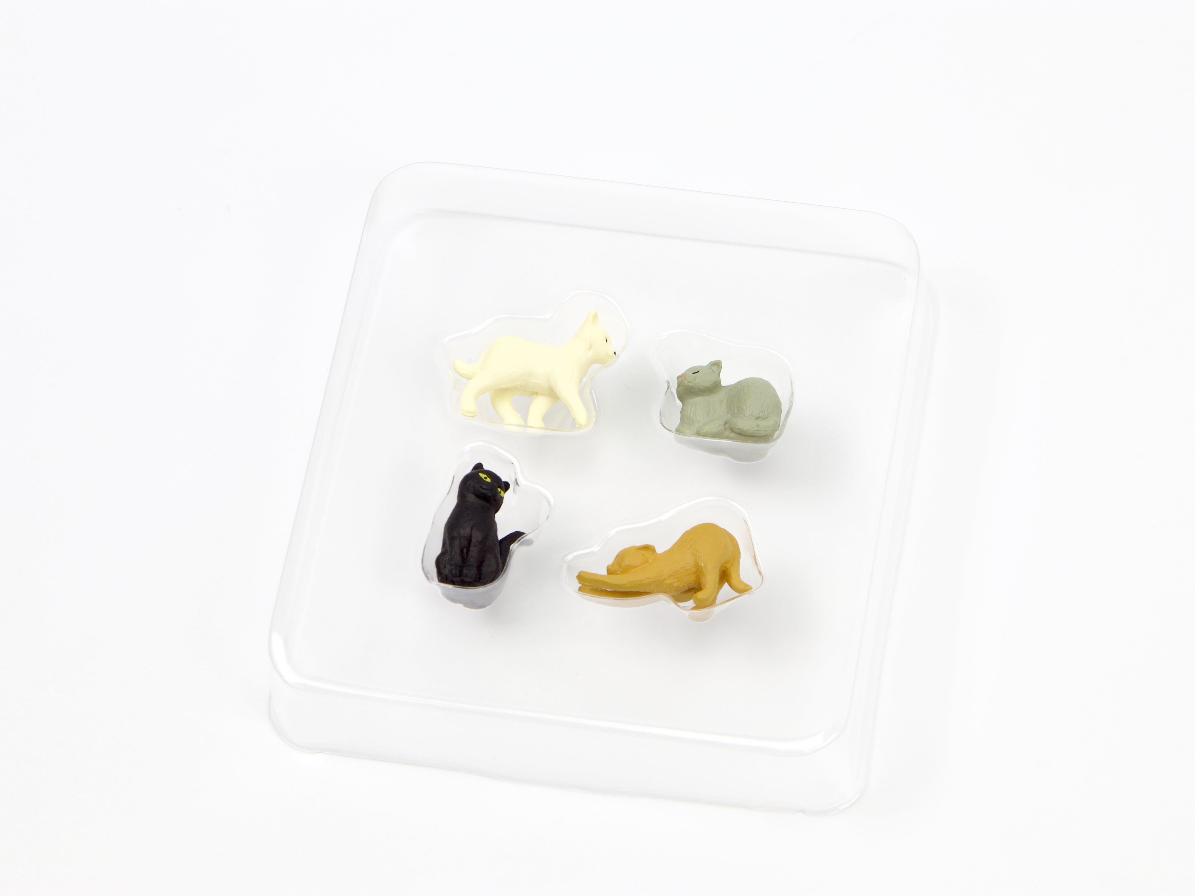 Midori Mini Magnets