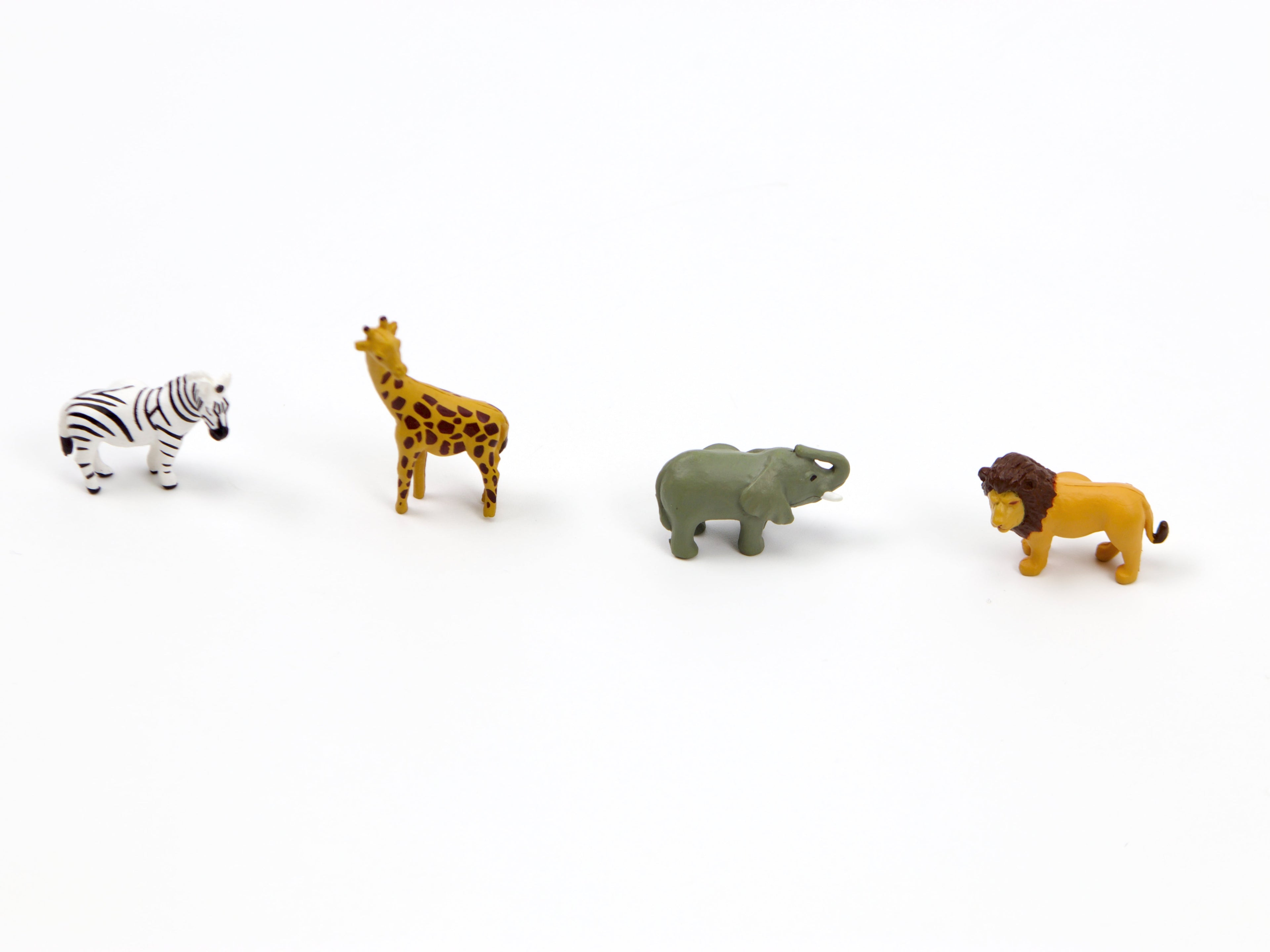 Midori Mini Magnets