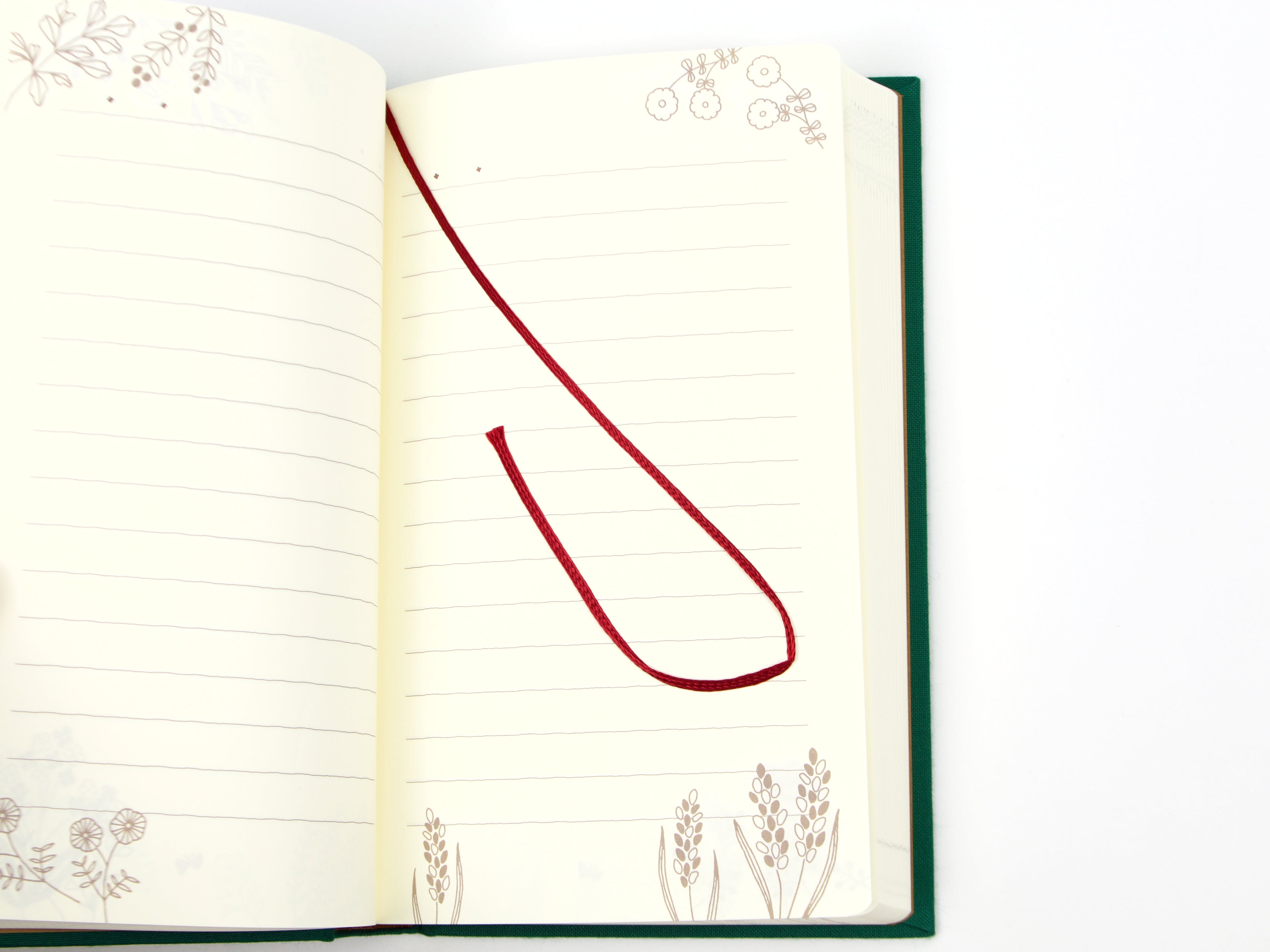 Midori 1 Year Diary My Stories and Memories