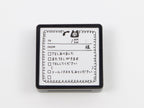 Midori Paintable Stamp