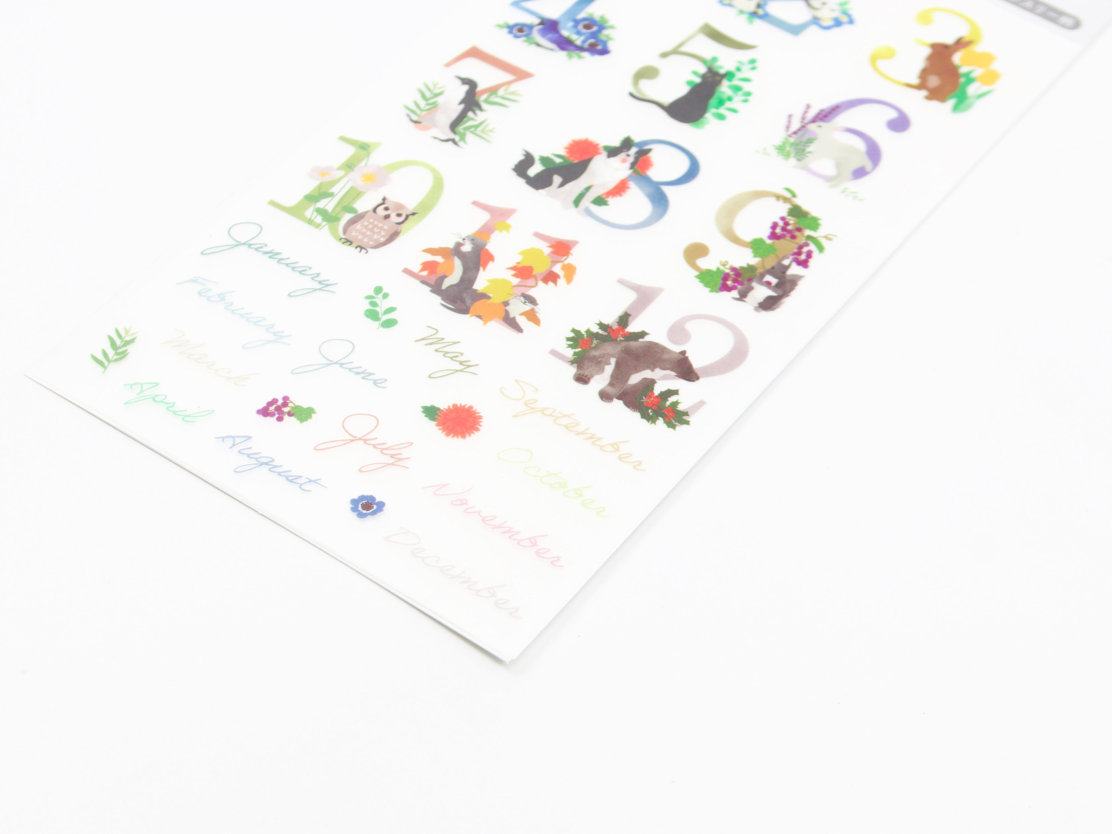 Midori Transfer Stickers