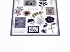 Mind Wave Oshibana Seal