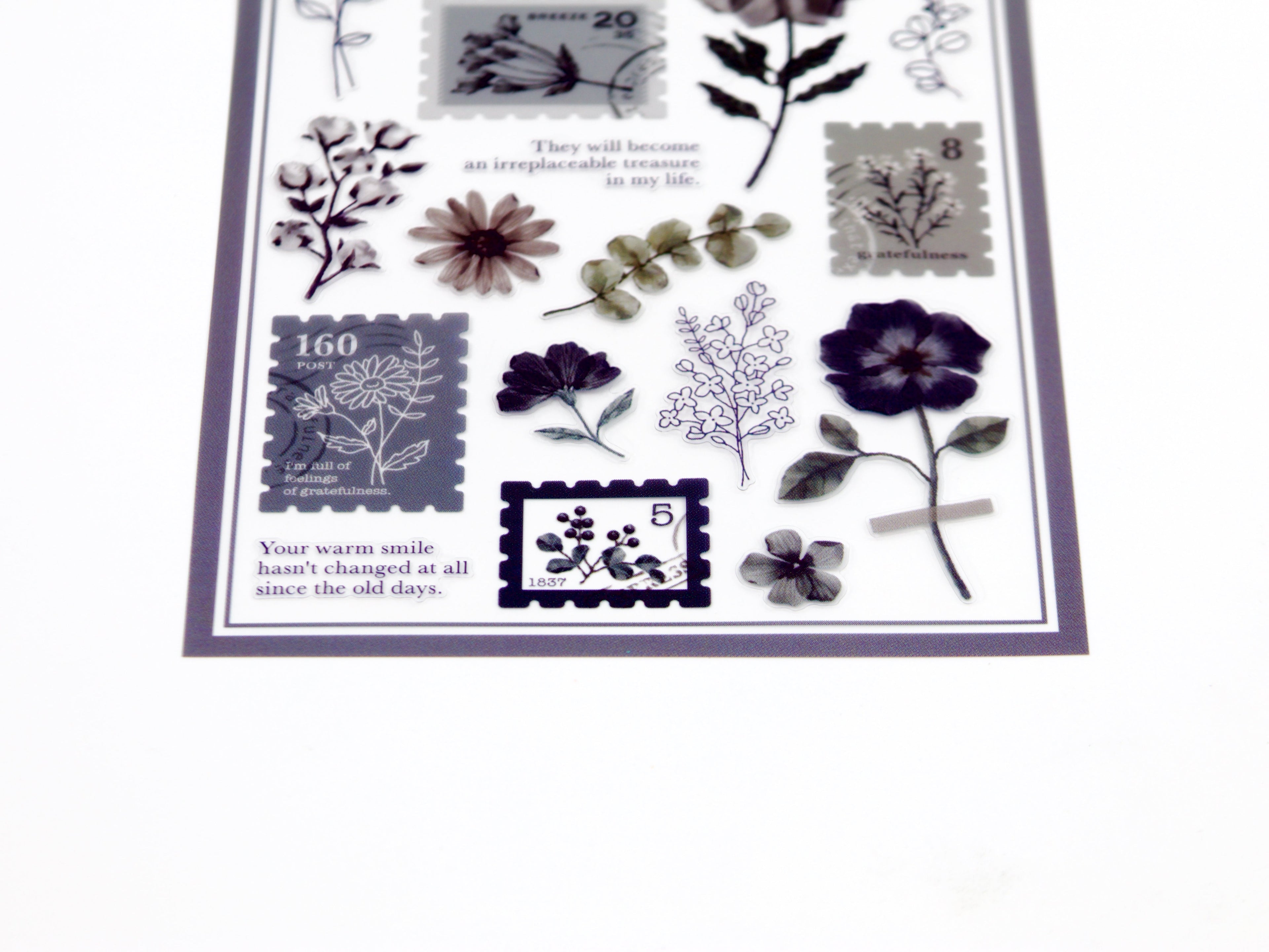 Mind Wave Oshibana Seal