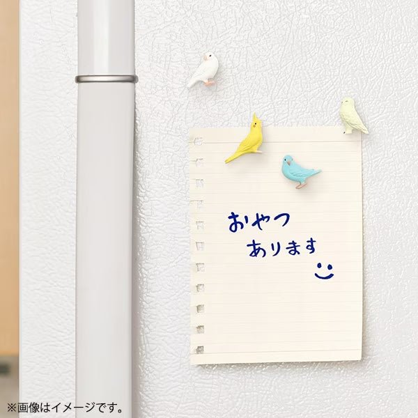 Mini Magnet Packs / MIDORI