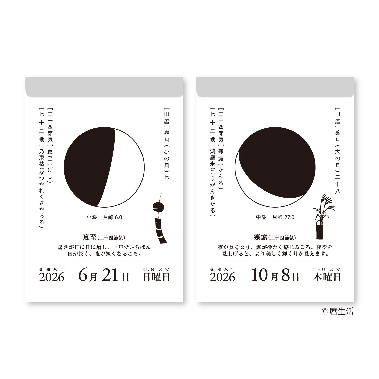 Moon Phase Daily Tear-Off Calendar 2026 / Shin Nihon Calendar